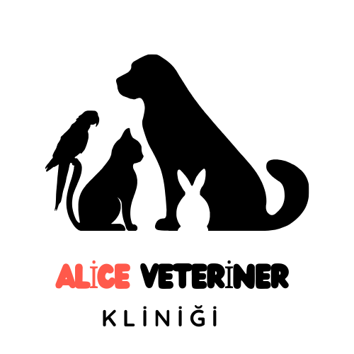 Alice Veteriner Kliniği